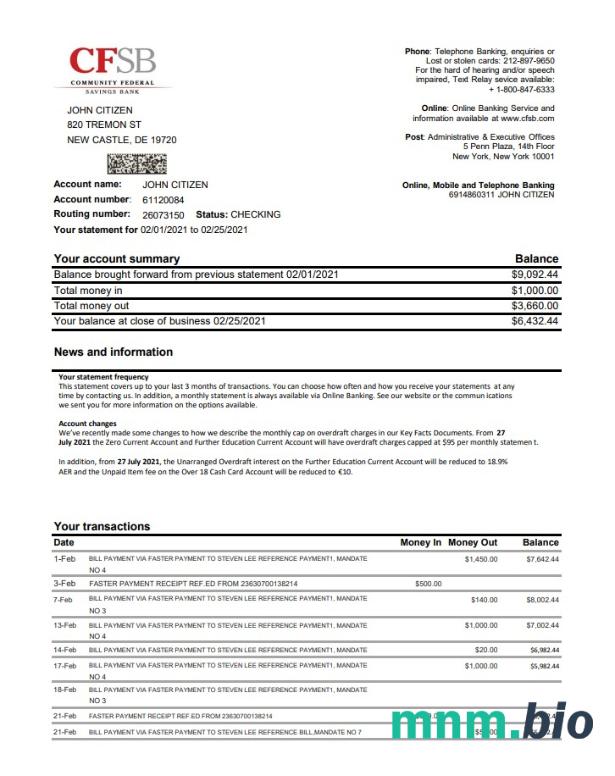 USA New York CFSB wzór wyciągu bankowego w formacie Word i PDF
